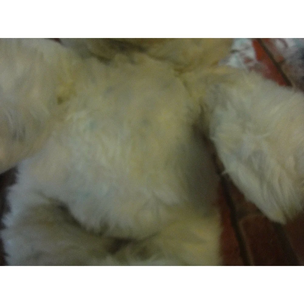 Build a bear workshop blue and white teddy bear 16